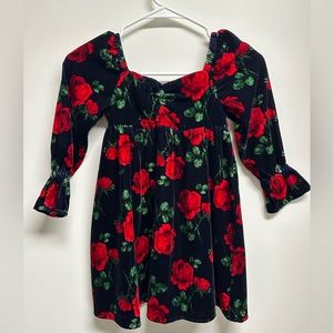Janie & Jack rose velvet dress
